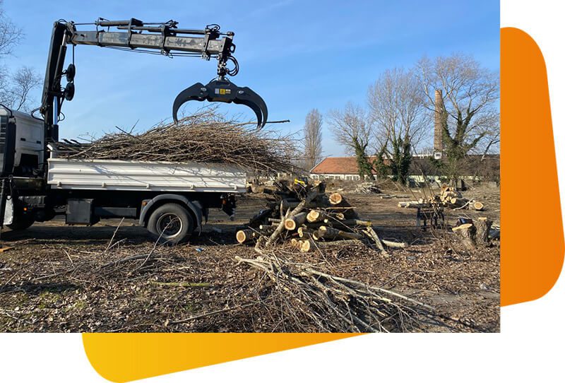 darus autó bérbeadás erdészeti munkákhoz