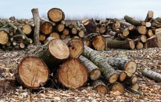 zöldterületi daruzás